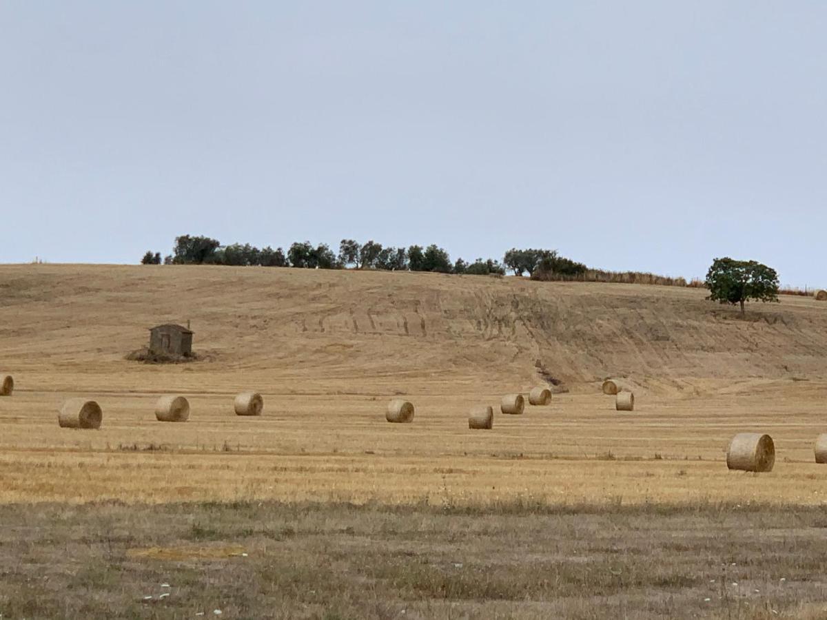 فيلا Terrazza Sul Tufo بيتيجليانو المظهر الخارجي الصورة